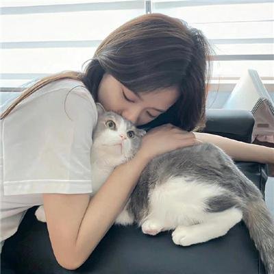 美人与流血事件